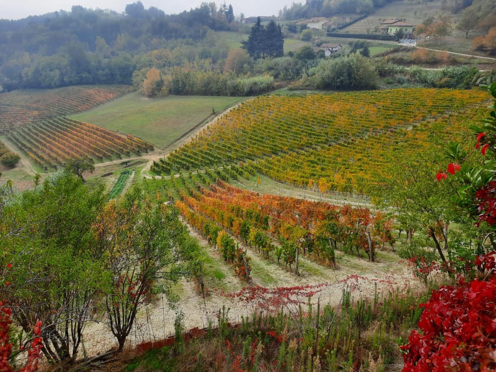 La Giribaldina Winery & Farmhouse Calamandrana Exterior photo