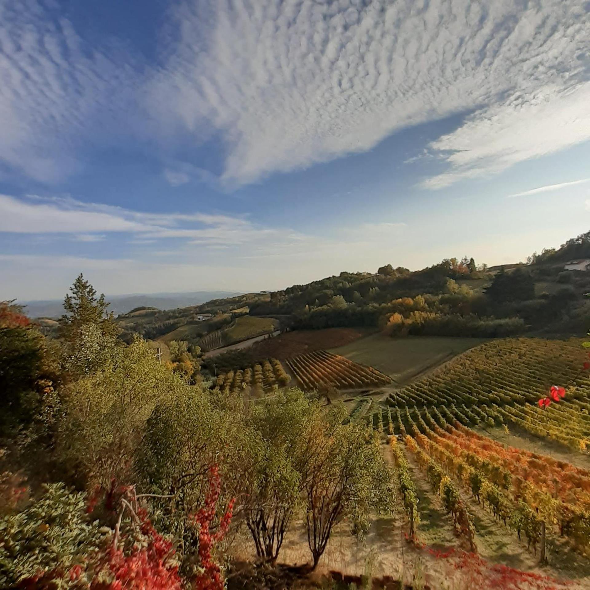 La Giribaldina Winery & Farmhouse Calamandrana Exterior photo
